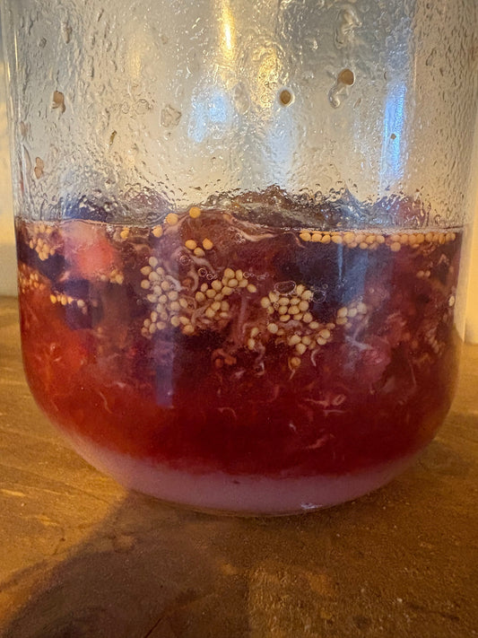 Fig Cheong Recipe (Fig Syrup)