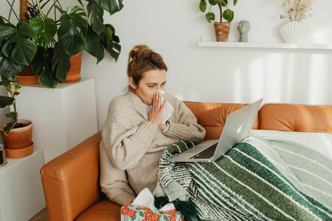 Is Kombucha Good for the Immune System?