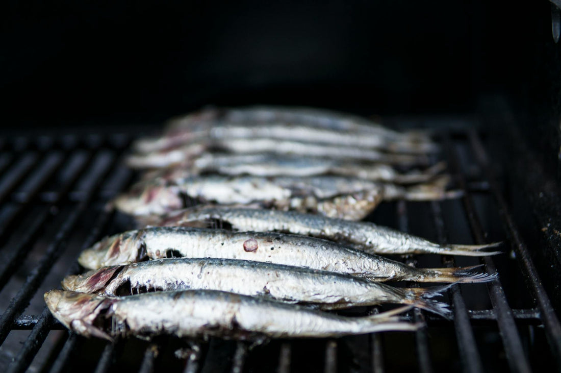 3 Must-Try Summer Prebiotic Recipes (Fish, Meat, Vegan)