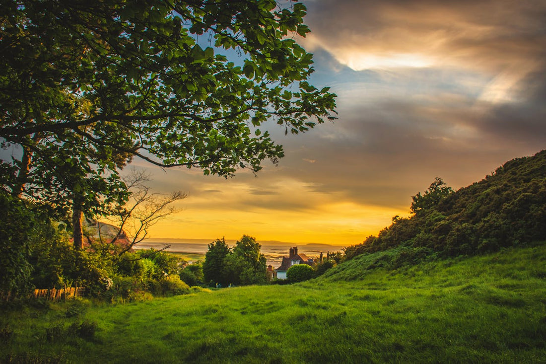 The Joy of Slowing Down: Finding Daily Rituals That Support Your Health