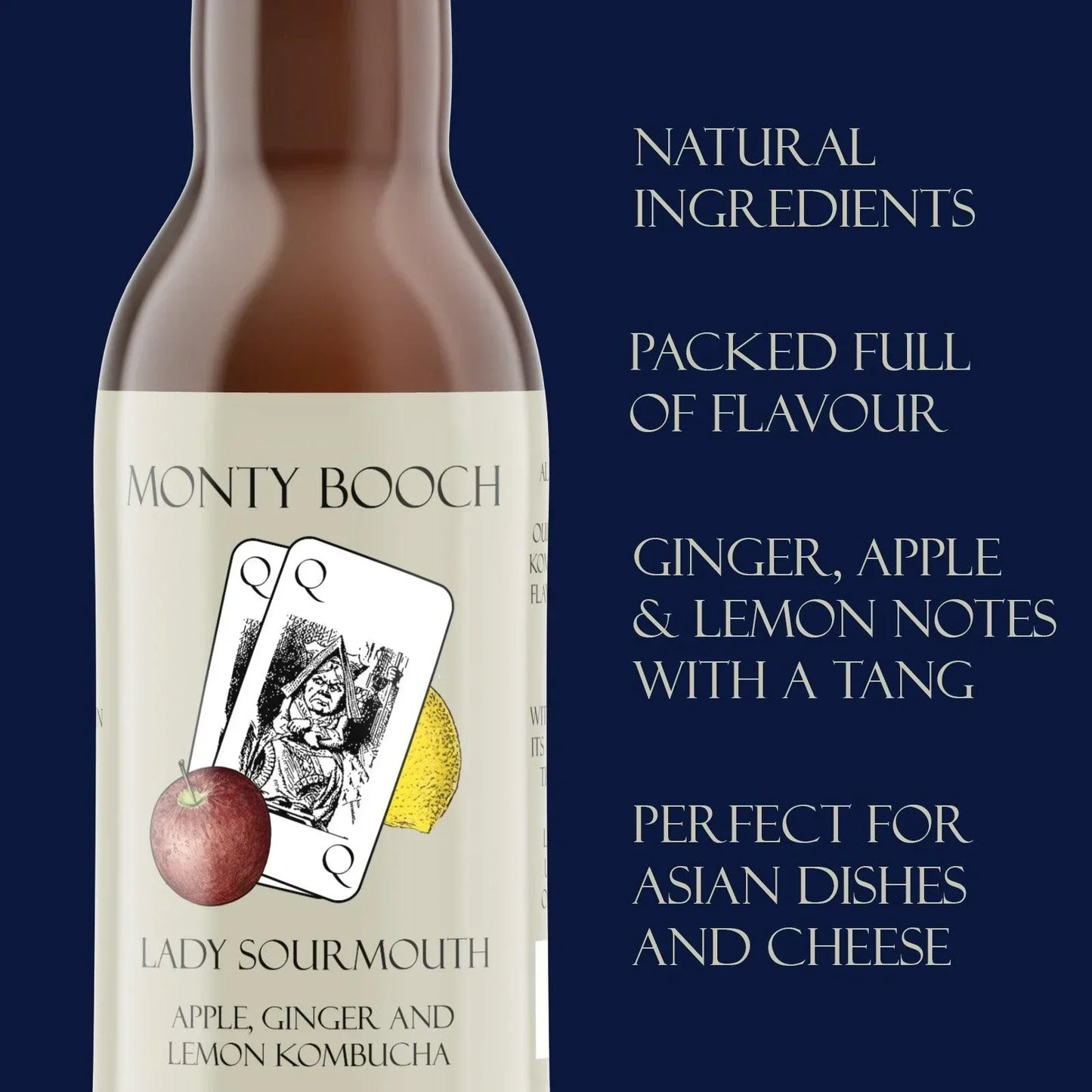 TRADE - Mixed Case of Raw, Unfiltered Kombucha (24 Pack) - Monty Booch
