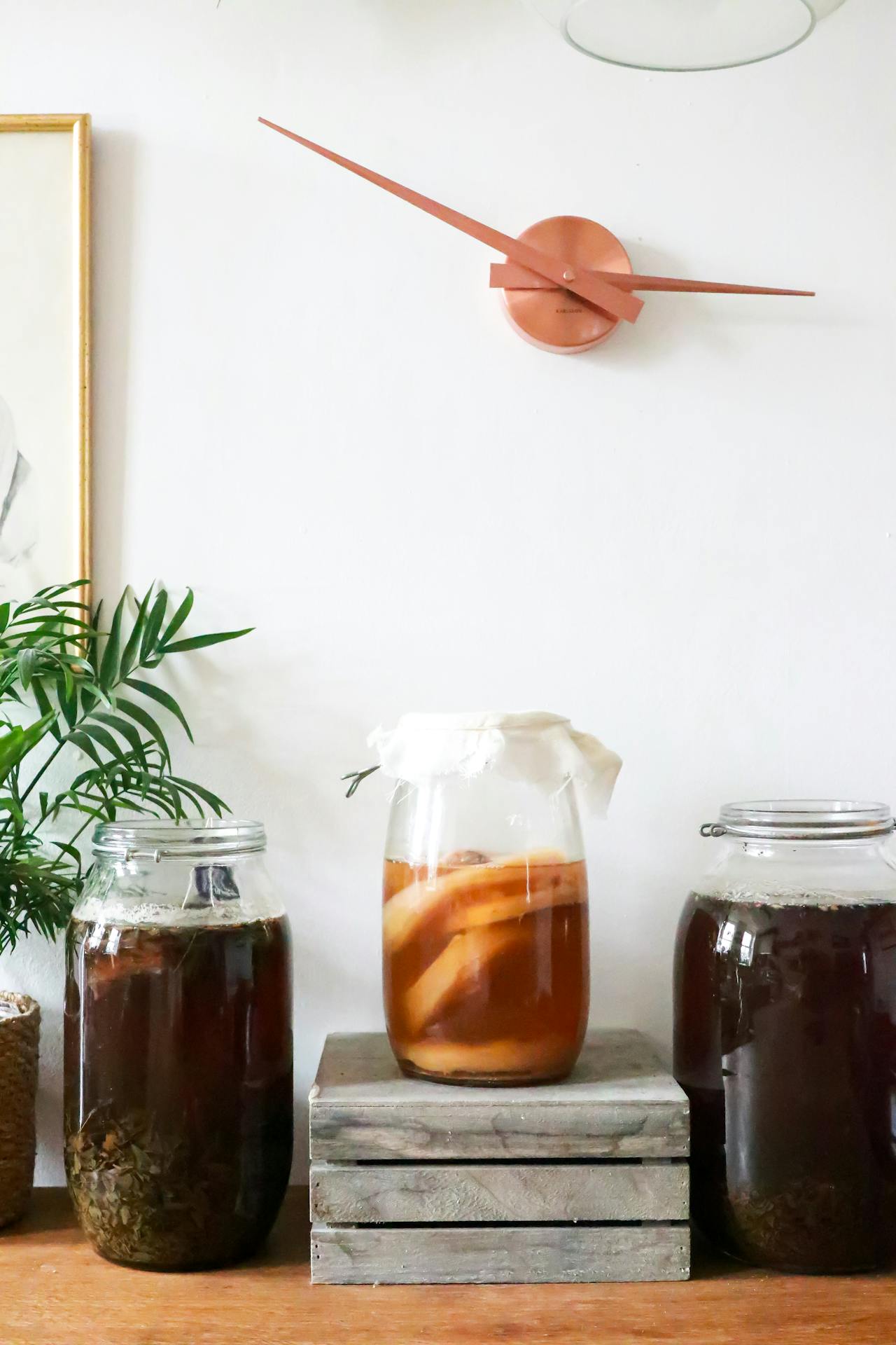 Kombucha Starter Kit - With Brewing Vessel