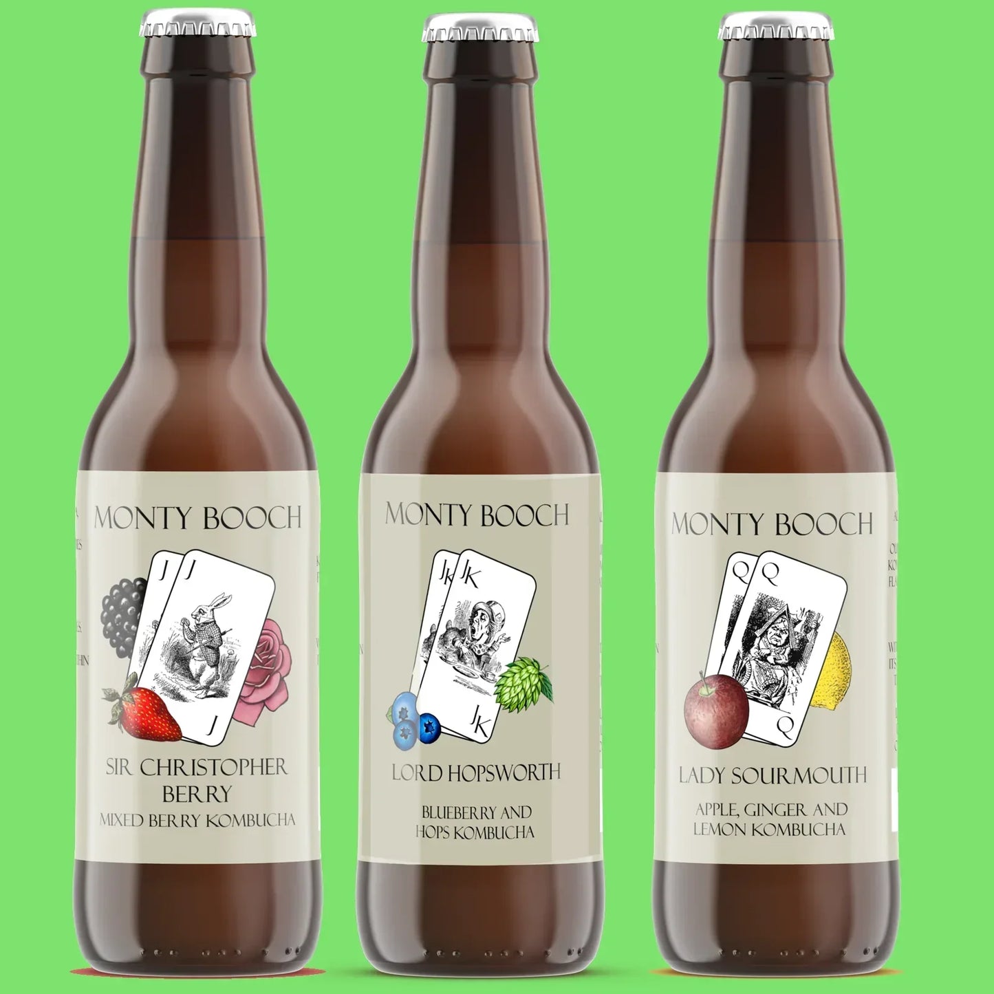 TRADE - Mixed Case of Raw, Unfiltered Kombucha (24 Pack) - Monty Booch
