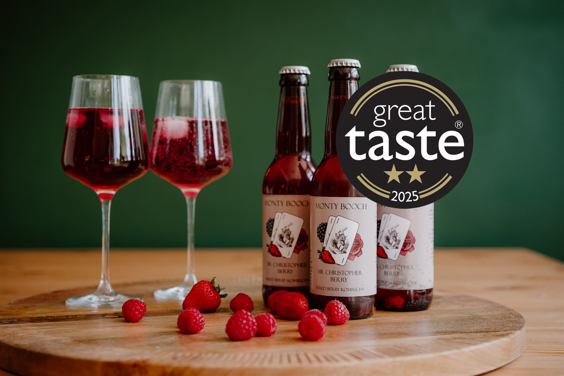 Christmas Gift Ideas For Kombucha Lovers 2025