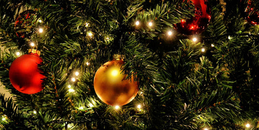Ideas For Christmas Events In Buckinghamshire, and Surrounding Counties - Monty Booch