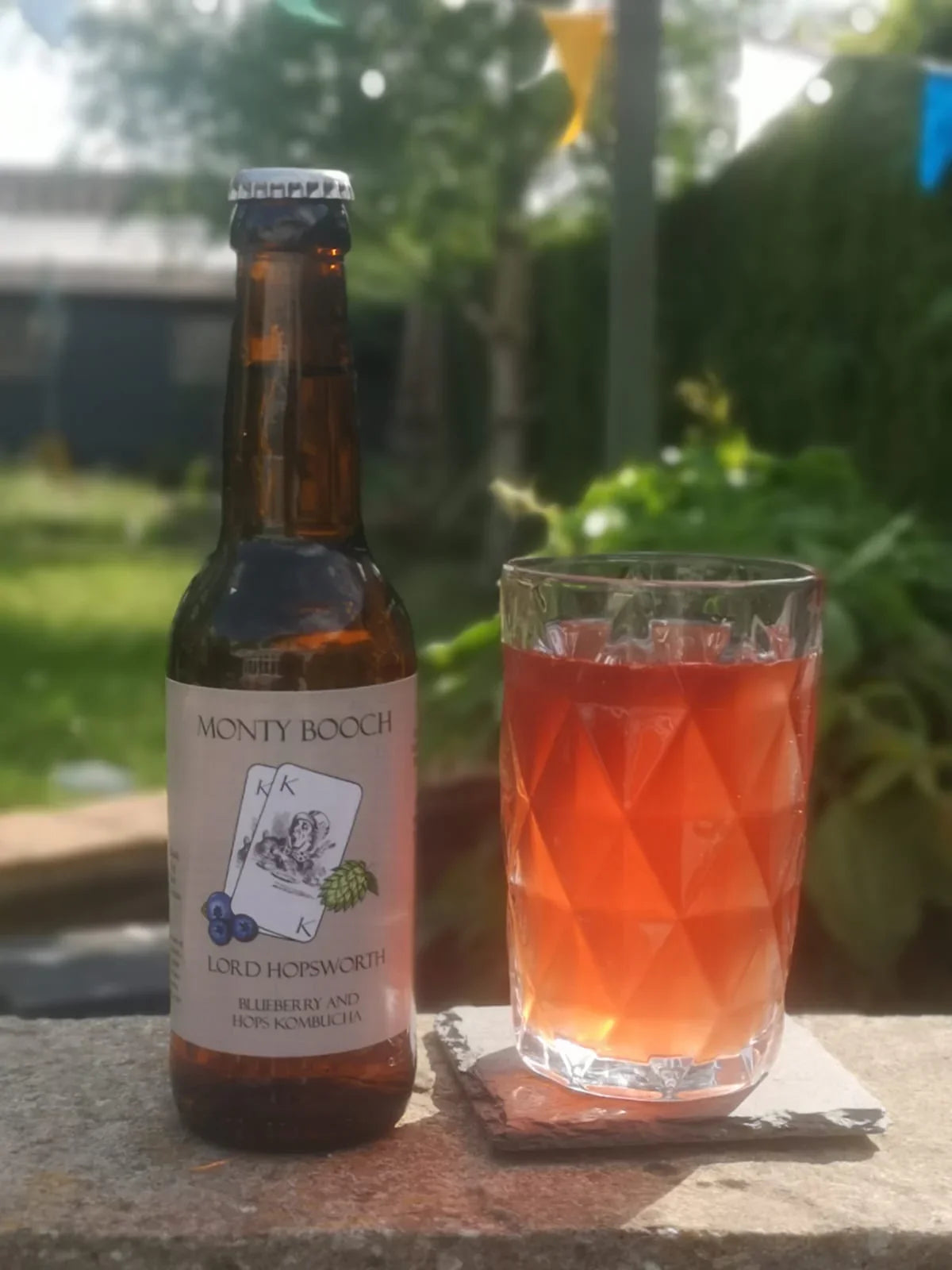 Lord Hopsworth Hopped Blueberry Kombucha - 12 Pack (330ml Bottles) - Monty Booch