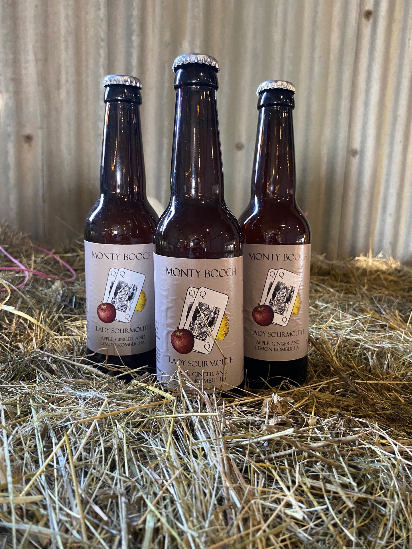Lady Sourmouth, Apple, Ginger & Lemon Unfiltered, Raw Kombucha 330ml (12 Pack)