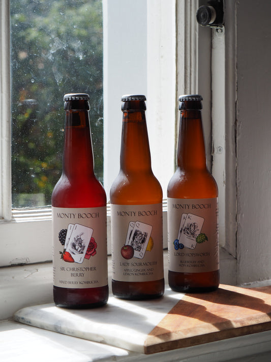 Mixed Case of Raw, Unfiltered Kombucha 330ml (12 Pack)