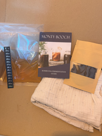 Kombucha Starter Kit